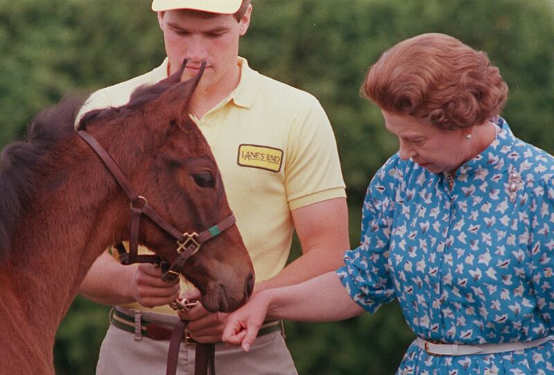 Queen Elizabeth inspects a filly foal during a visit to Lane's End Farms in Versailles, Kentucky, on May 24, 1986. AP
