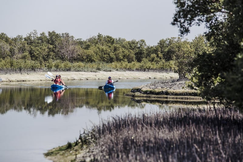 Abu Dhabi, UAE. March 12th 2016. Kayakers at the Abu Dhabi mangroves, from a boat tour of the area. Alex Atack for The National.  *** Local Caption ***  AA_120316_EasternMangroves-36.jpg