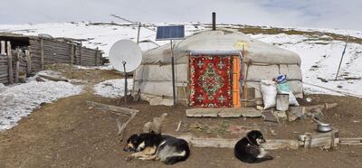 Outside a Mongolian yurt, as captured by Google Street View