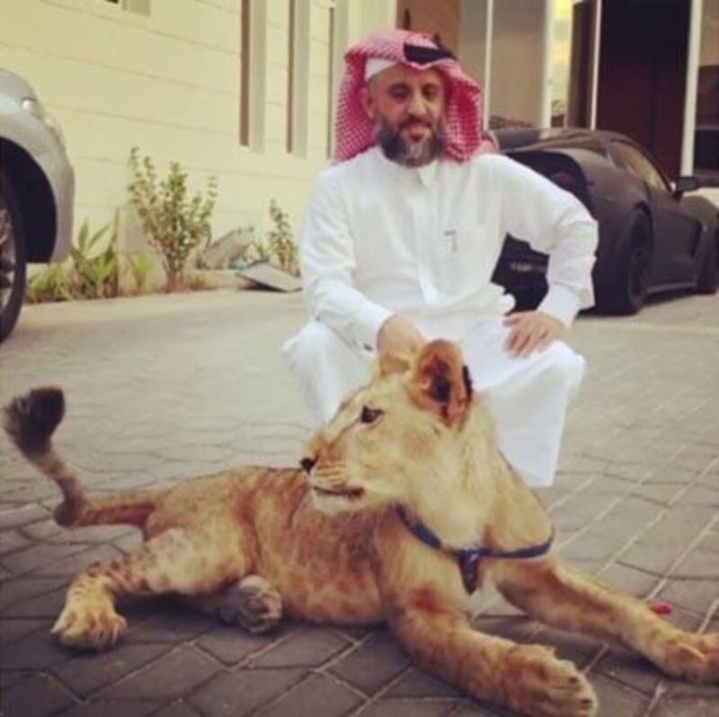 A photo posted by Khalifa al-Subaiy on his @khalifa_alsubaey Instagram account.