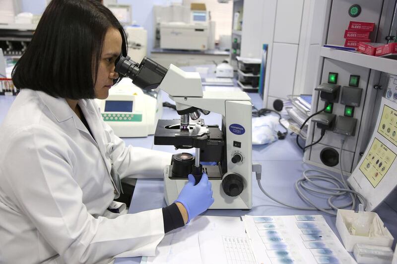 A laboratory technician studies a slide under a microscope at Al Borg Medical Laboratories in Abu Dhabi. Irene García León for The National