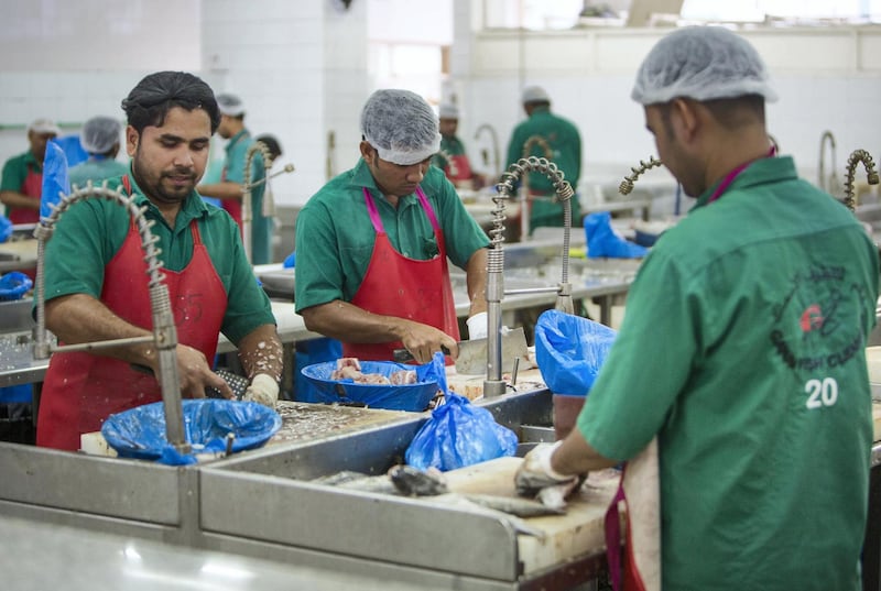 AJMAN, UNITED ARAB EMIRATES - Fishmongers cleaning the fish in Ajman Fish Market.  Leslie Pableo for The National