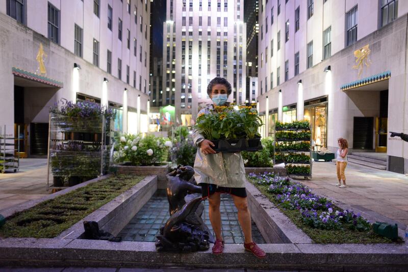 A team of landscapers install Ghada Amer's piece for Frieze Sculpture in the Channel Gardens at Rockefeller Center on Friday night, August 28, 2020. Photograph by Casey Kelbaugh