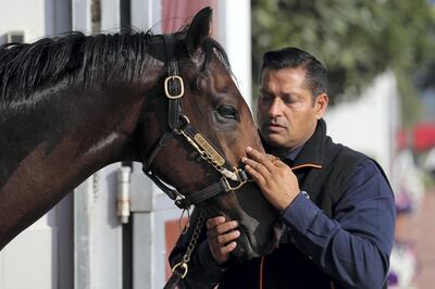 Dubai, United Arab Emirates - January 16th, 2018: Satish Seemar, one of the longest serving and successful racehorse trainers in the UAE. Tuesday, January 16th, 2018 at Zabeel stables, Dubai. Chris Whiteoak / The National