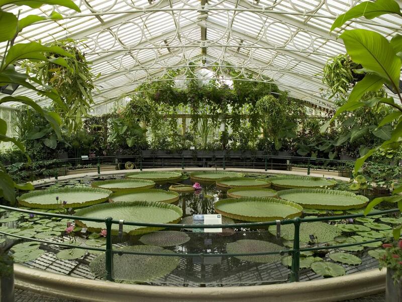 The Waterlily House at Royal Botanic Gardens, Kew in Surrey, UK. Courtesy Royal Botanic Gardens, Kew