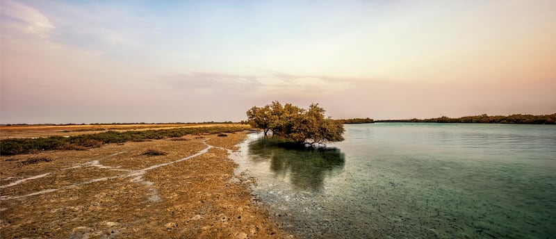 The sun and the purity of the water create a mirror-like reflection in Jubail Island, a few minutes away from Abu Dhabi.