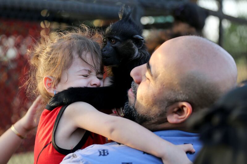 A father holds his daughter as a mangabey monkey clings to her during a visit to Riyadh Safari.