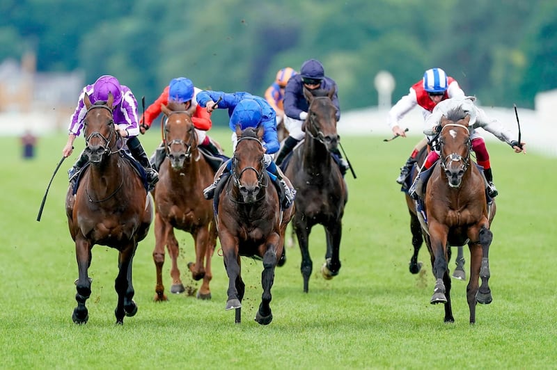 Palace Pier was victorious at the Royal Ascot on Saturday. PA