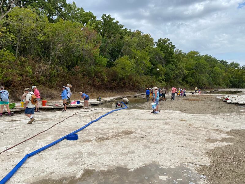 Under normal river conditions, these newer tracks are underwater and filled with sediment, making them not as visible. Photo:  Dinosaur Valley State Park