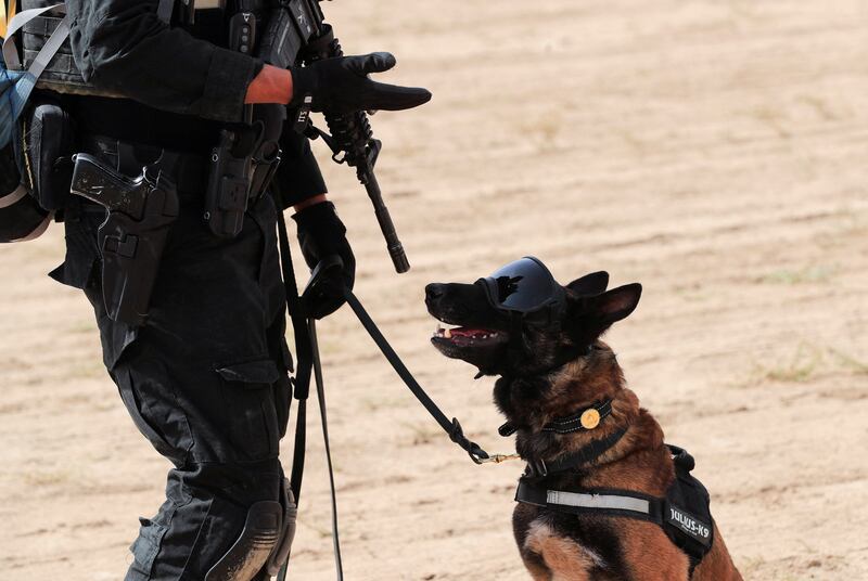 A dog helps and armed service member.