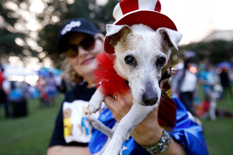 Pet influencer Kathi Welch holds her dog Lucy for a photo at Doggy Con in Woodruff Park, Saturday, Aug. 17, 2019, in Atlanta. Lucy participated in the pet parade and costume contest and wore a Wonder Woman costume and Uncle Sam hat. (AP Photo/Andrea Smith)