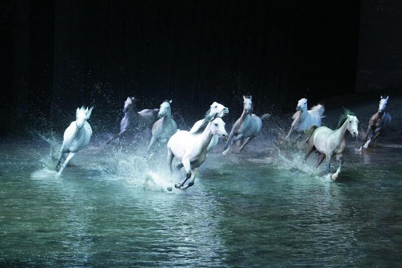 A study of the relationship between man and horse, Cavalia at Qasr Al Hosn - an innovative multi-disciplinary production created by Normand Latourelle, one of the co-founders of Cirque du Soleil - will be performed in a series of shows from February 22 to March 1. Courtesy Seven Media