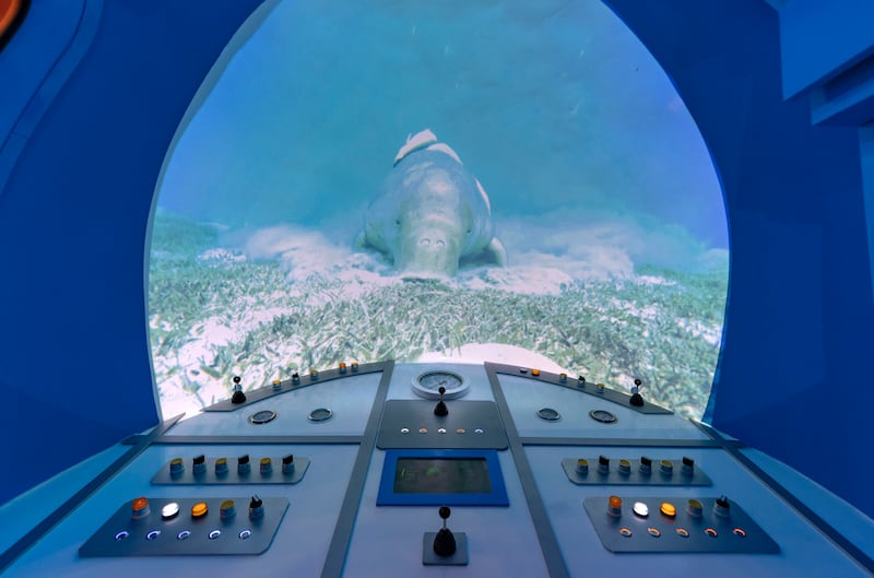 Inside the seaworld submarine. Chris Whiteoak / The National