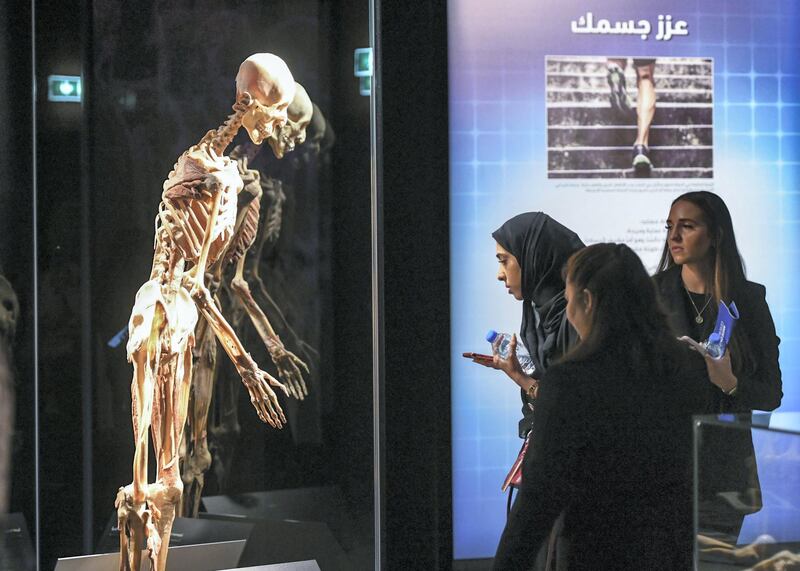 Abu Dhabi, United Arab Emirates - The ÔBody MuseumÕ, regionÕs first-ever ÔBody WorldsÕ exhibition is now open to public at the Khalifa University Campus on Murror road in Abu Dhabi. Khushnum Bhandari for The National