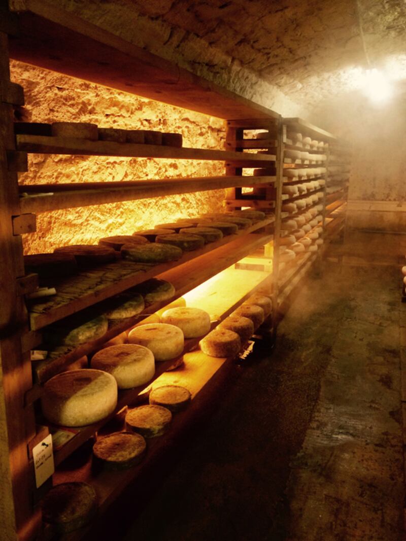 Comte cheese aging in a cheese cellar at Janin Fromagerie in Champagnole, France. Courtesy Stacie Overton Johnson