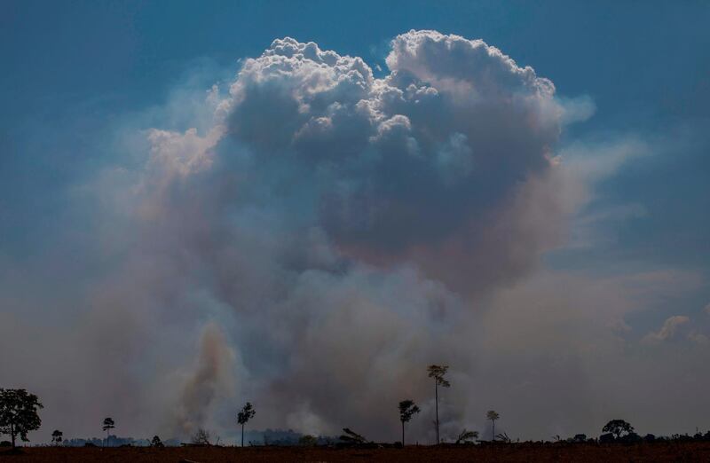 Smokes rises from forest fires in Altamira, Para state. AFP