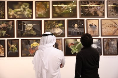 The exhibition features wildlife photos. Photo: Tashkeel
