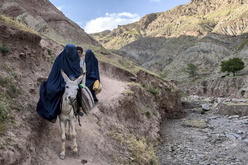 In rural Afghanistan, donkeys are both used to carry goods and luggage and as transportation. 