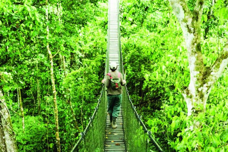 The Inkaterra Reserva Amazónica Lodge in Peru. Courtesy Inkaterra