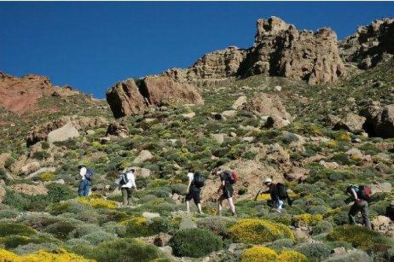 Morocco's tourism sector accounts for 10 per cent of the country's economy and employs 450,000 people. Above, tourists trek to the summit of Jebel Mgoun, Morocco. Courtesy of www.exodus.co.uk