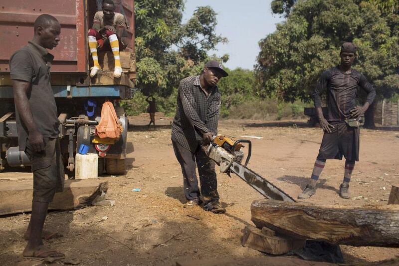 A worker cuts timber before loading it onto a container in Sintchan Companhe, Guinea. Joe Penney / Reuters