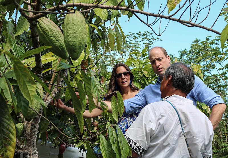 Prince William and his wife Kate chat to a farmer at the Che'il Cacao Farm and Chocolate Factory in Belize. AFP