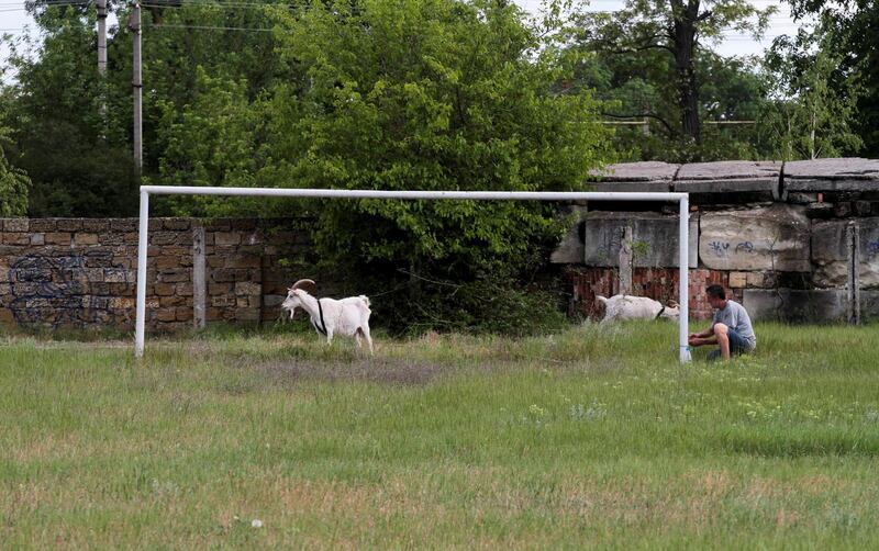 Goats walk near goalposts in the village of Pervomayskoye, Crimea. Pavel Rebrov / Reuters