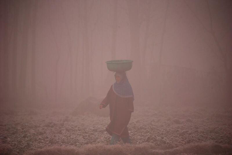 A woman carries a basket of cow-dung through a frost-covered field on a foggy morning in Srinagar. Reuters