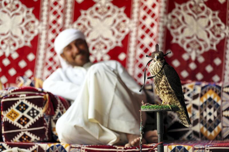 Dubai, United Arab Emirates - January 19, 2019: Member of staff Asgar with the falcon. Images of a new tourist attraction in Dubai called The Camel Farm. Saturday, January 19th, 2019. E77, Dubai. Chris Whiteoak/The National