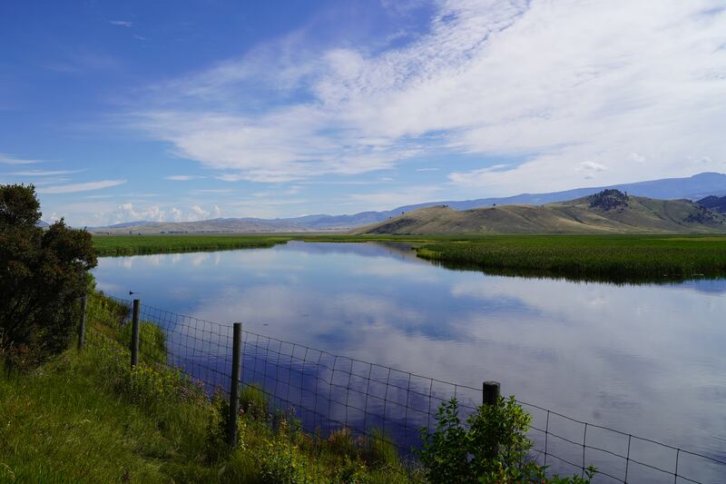 The National Elk Refuge, outside the town of Jackson. Willy Lowry / The National