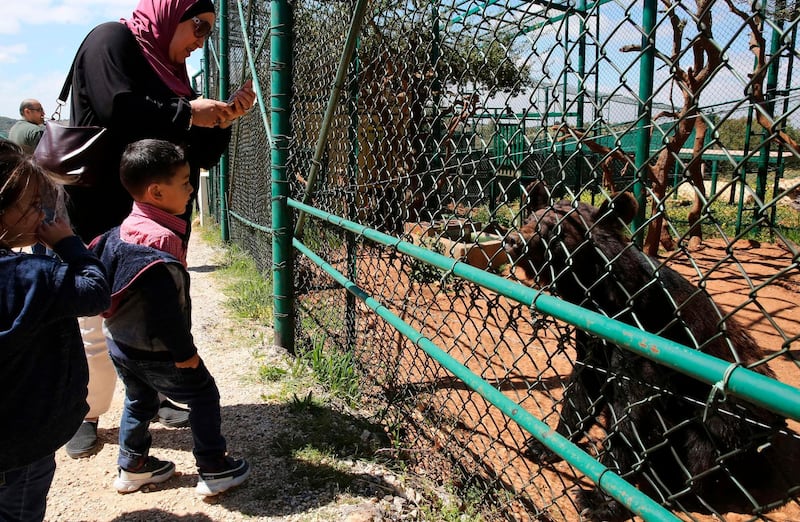 People watch a bear in an enclosure at Al Ma'wa For Nature and Wildlife.