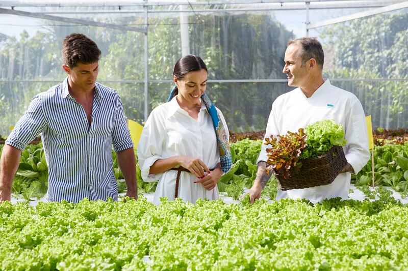 The resort has its own greenhouse, where organic produce is grown then used at the hotel's dining outlets. 