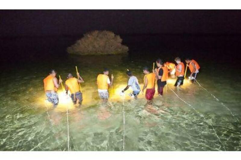Crab hunters spear their meal in UAQ