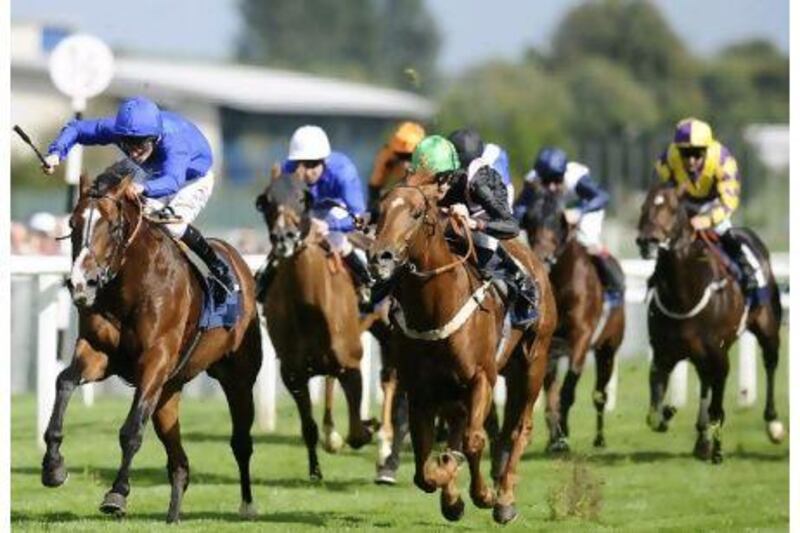 Delegator, left, has been persisted with by Godolphin after an injury-marred season.