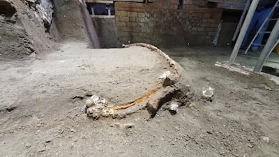 A photo handout on February 27, 2021 by the archaeological park of Pompeii shows  a large Roman four-wheeled ceremonial chariot emerging from ashes after it was discovered near the The archaeological park of Pompeii. The chariot was discovered in a porch in front of a stable where, already in 2018, the remains of 3 equids, including a harnessed horse, had been found.
 - RESTRICTED TO EDITORIAL USE - MANDATORY CREDIT "AFP PHOTO / POMPEII ARCHAELOGICAL PARK / HANDOUT" - NO MARKETING - NO ADVERTISING CAMPAIGNS - DISTRIBUTED AS A SERVICE TO CLIENTS
 / AFP / POMPEI ARCHAEOLOGICAL PARK / Handout / RESTRICTED TO EDITORIAL USE - MANDATORY CREDIT "AFP PHOTO / POMPEII ARCHAELOGICAL PARK / HANDOUT" - NO MARKETING - NO ADVERTISING CAMPAIGNS - DISTRIBUTED AS A SERVICE TO CLIENTS

