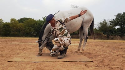  Indo-Tibetan Border Police's dog and horse yoga. Photo: Twitter/ITBP_official