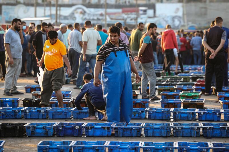 Palestinian fishermen display their catch in boxes at a fish market in Gaza city.