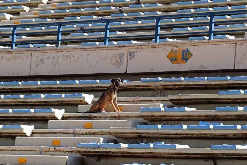 Lebanon's top football stadium once hosted some of the planet's best players.