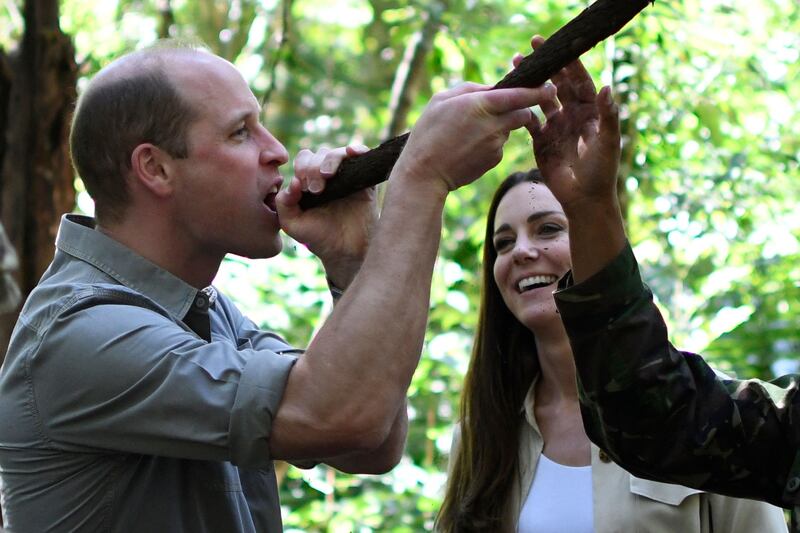 Prince William drinks water from a vine to the Chiquibul Forest Reserve, Belize. AFP