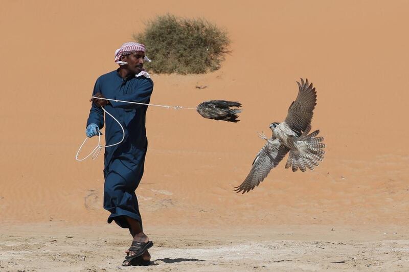 An Emirati falconer trains his bird during the Liwa Moreeb Dune Festival in the Liwa desert. The festival runs until January 6.
