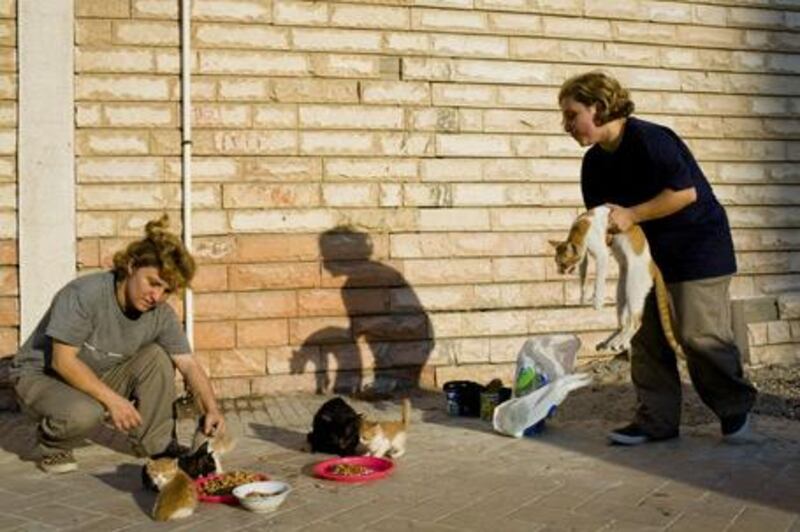 Ghina and Hana Saemeldahr feed stray cats outside a mosque near the Corniche in Abu Dhabi.