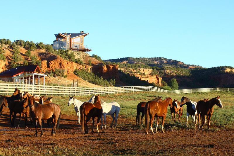 Horses on the ranch. Courtesy Red Reflet Ranch