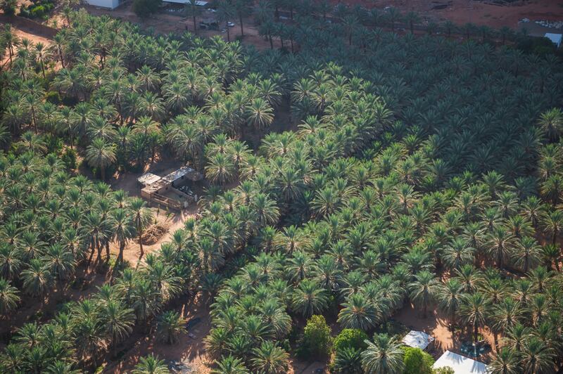 Soar over date palms, desert and ancient cities on a helicopter tour. Photo: Visit AlUla