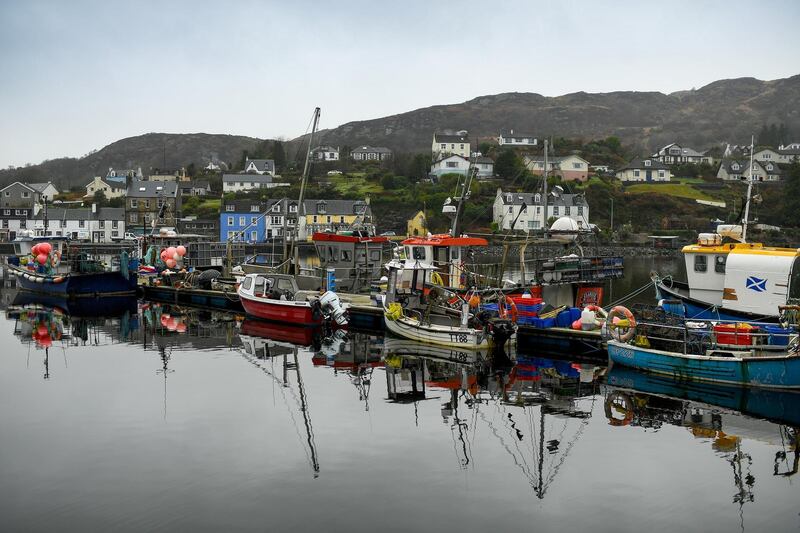 TARBERT, SCOTLAND - JANUARY 14:  Fishing boats are seen tied up at Tarbert Harbor on January 14, 2021 in Tarbert, Scotland. The SNP recently claimed that a third of the Scottish fishing fleet is tied up in harbour and losing Â£1 million a week, causing fresh and high quality produce to be lost. (Photo by Jeff J Mitchell/Getty Images)