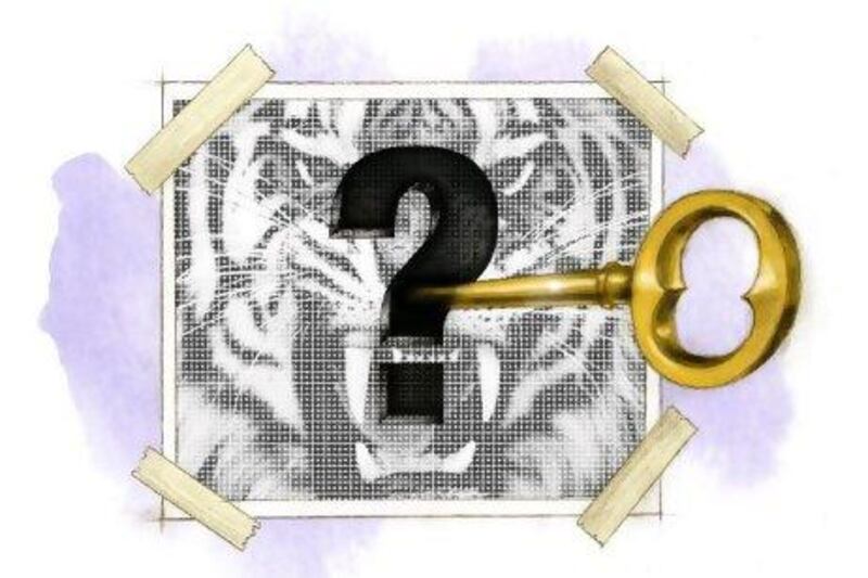 The new approach scatters the hidden image three times across the host picture - such as the tiger - making it harder to unlock.