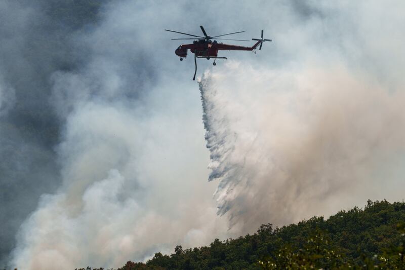 Greece's fire service says the blaze is 'still out of control' in the north-east region's Dadia National Park. Bloomberg