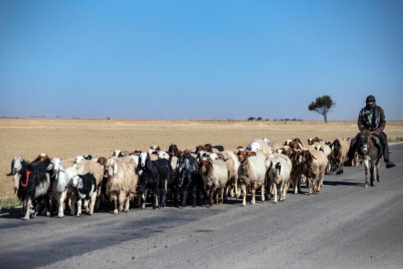 Syria is among the countries most vulnerable and poorly prepared for climate change, which is forecast to worsen, posing a further threat to the wheat harvests that are an essential income source for a war-battered population.