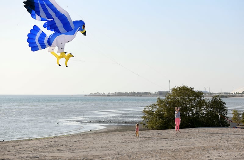 Various kite designs can be seen taking to the skies over Marsana Beach