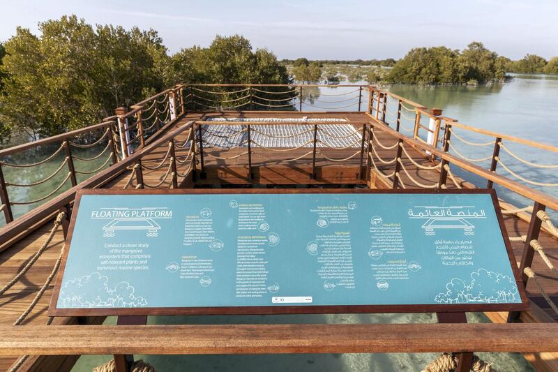 ABU DHABI, UNITED ARAB EMIRATES. 30 JANUARY 2020. The newly launched Mangrove Walk at Al Jubail Islandi. A special floating platform that allows visitors to observe the mangrove water and life without interference. (Photo: Antonie Robertson/The National) Journalist: Janice Rodrigues. Section: National.

