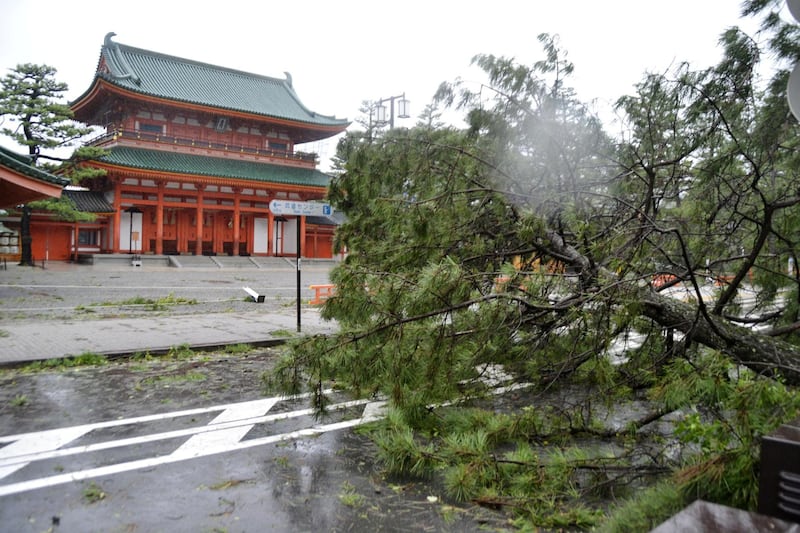 A tree damaged by Typhoon Jebi is seen in front of Heian Shrine in Kyoto, western Japan. Reuters